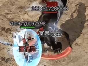 <strong>老玩家十年心血经验分享，助你在传奇中叱咤风云</strong>
